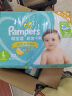 帮宝适（Pampers） 超薄干爽尿不湿大码箱装绿帮纸尿裤 绿帮L164片 晒单实拍图