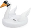 INTEX 新57557小天鹅坐骑 水上动物充气坐骑浮排戏水冲浪儿童玩具礼物 实拍图