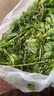 旷古农业艾草新鲜 艾草叶嫩艾蒿 青团蒿子粑粑清明果蔬菜食材 健康轻食 3斤 实拍图