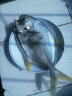翔泰 冷冻海南金鲳鱼500g/2条ACS 生鲜鱼类 深海鱼火锅食材 海鲜水产 晒单实拍图