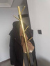 法兰思佳（FALANSIJIA） 衣服架子卧室挂衣架落地衣帽架金属衣服架落地不锈钢北欧现代 香槟金色+黑色大理石 实拍图