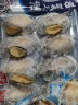 一米渔 新鲜冷冻鲍鱼肉中号300g约70个鲜活去壳去内脏深海鲍鱼肉海鲜批发 晒单实拍图