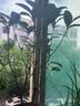 开时果 四季桂花树苗盆栽老桩浓香型花卉 室内植物客厅阳台好养绿植盆景 【家居点缀】精品桂花/40-50cm+郁金香瓷盆 基地直发 实拍图