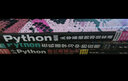 Python编程从零基础到项目实战（微课视频版）python编程思想python编程从入门到实践python学习手册利用python进行数据分析 实拍图