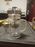 金灶（KAMJOVE）小青柑红茶泡茶壶茶水分离鹰形壶嘴高硼硅玻璃泡茶飘逸杯泡茶器 【耐热玻璃 升降内胆】A75 380ml 实拍图