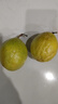探味君 广西钦蜜9号黄金百香果 新鲜水果白香果酱原浆整箱 生鲜 9斤净重8.5斤【单果65-80g】 实拍图