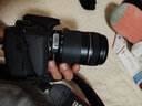 佳能/Canon 600D 700D 750D 760D 800D 850D二手单反相机新手学生入门旅游高清相机 700D+18-135 IS【套机】 准新 实拍图