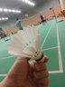 亚狮龙（RSL） 羽毛球鸭毛球12只装/桶 耐打稳定 比赛训练 RSL6号 12只装 3筒 更划算 实拍图