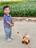 皇恩儿童泡泡机玩具手持推车全自动多孔吹泡泡棒液水婴幼无毒宝宝户外 黄小鹿推车泡泡+充电+20泡泡液 实拍图