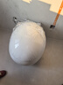 NOEO60cm轻智能马桶家用虹吸式马桶蛋形坐便器智能卫浴小户型马桶圆形 精灵版【联网语音 防溅泡泡】 实拍图