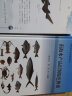 南海海洋鱼类原色图谱（二） 晒单实拍图
