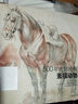 500年大师《素描动物》绘画册集教程临摹本精选篇进口技法艺术向达芬奇手稿学鲁本斯高清荷尔拜因基础教材书籍 实拍图