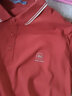 海澜之家短袖POLO衫男款凉感抗菌防螨翻领短袖男夏季 【中华龙】砖红1T 3XL 190/104A 推荐91-98kg 实拍图