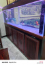 森森（SUNSUN）鱼缸水族箱超白玻璃大型底滤办公室龙鱼缸客厅免换水落地缸 发烧级 2.5米长×61宽（WiFi版 变频水泵） 晒单实拍图