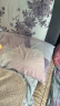 罗莱家纺枕头枕芯颈椎枕决明子荞麦枕芯 呵护枕草本枕低枕46*72cm 实拍图