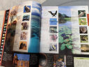 DK儿童动物百科全书（2021年全新印刷） 课外阅读 寒假阅读 课外书 新年礼物 实拍图