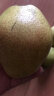 岸上人家（ANSHANGRENJIA）山西红香酥梨 脆甜梨子 时令生鲜新鲜水果整箱装梨子青梨 3斤装小梨 晒单实拍图