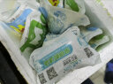 天润（terun） 【新日期】新疆浓缩网红酸奶天润浓缩原味酸奶180gX12风味发酵乳 原味（180gX12袋整箱） 晒单实拍图