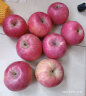 聚牛果园烟台红富士苹果5斤 简装 时令生鲜水果 富士果径80-85mm5斤大果 新鲜苹果 实拍图