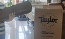 Taylor泰勒BT1/2/GS mini/114CE/214 单板民谣旅行电木吉他进口泰莱 36英寸GSmini mah 桃花芯-原声 实拍图