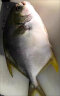 翔泰 冷冻海南金鲳鱼1.2kg /3-4条  海鱼  生鲜鱼类  海鲜水产 晒单实拍图