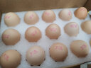 黄天鹅30枚L级大蛋 1.8kg/盒 黄天鹅可生食鸡蛋  精美礼盒装 晒单实拍图