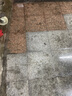 梦多福德国高压洗车机家用洗车水枪商用220v清洗机大功率刷车泵洗车神器 3800W 【旗舰款】13米水管 +短枪 德系涡轮增压泵卷轴便携式收纳家用商用强力洗地机 实拍图