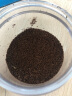 Mongdio 咖啡磨豆机 电动咖啡豆研磨机 外刻度5档调节磨豆机 晒单实拍图
