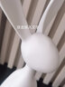 赟娅创意大号兔子玄关摆件客厅轻奢高档工艺品电视柜装饰新居乔迁礼物 坐姿长耳朵兔子【白色-50cm] 实拍图