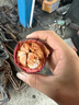 沙窝曙光泰国山竹【JD/SF多地次日达】新鲜进口油麻竹热带水果生鲜年货节 稀有果 | 精品净重8.5斤 5A-6A 实拍图