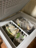 志高（CHIGO）小冰柜家用冷冻小型一级节能省电迷你卧式冷藏保鲜储母乳冷柜 一级能效-72L-单温单门 实拍图