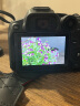 佳能（Canon） EOS R7 微单相机 高速度 高分辨率 APS-C画幅 r7专业数码相机 R7+RF-S18-150套机【一镜头走天下】 套餐二【升级128G内存卡~品牌备用电池】 晒单实拍图