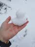 BLW BAWANLONG TOYS夹雪球夹子玩雪工具儿童打雪仗捏雪模具神器 小鸭子雪夹颜色随机【铁钉加厚款大号34cm】 实拍图