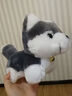 哈士奇 毛绒玩具 小狗狗布娃娃玩偶  趴趴狗公仔 送女友 儿童生日礼物 铃铛款 30cm 实拍图