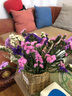 爱满（AIMAN）云南直发干花花束真花家居摆设装饰小清新客厅办公室摆件风干花束 白粉深紫浅紫勿忘我+情 共约20支 不带花瓶 实拍图