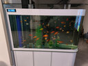 欧宝鱼缸水族箱客厅大型家用生态玻璃水族箱金鱼缸屏风玄关 1.5米长 底滤 实拍图