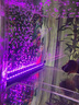 CRAZY PLANT鱼缸灯led灯防水可调色造景射灯纳米气泡条潜水灯增氧照明一体 14.5cm 七彩渐变色款(适合20-30CM) 实拍图