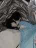 陪伴岁月猫条 猫咪零食 营养小猫幼猫成猫宠物猫罐头鲜湿粮包 鲣鱼+丝兰15g*5支 口味可选 实拍图