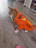 憨憨宠 猫衣服狗狗衣服宠物猫咪衣服冬季幼猫成猫两脚搞笑变身装布偶蓝猫英短泰迪衣服猫咪用品 小老虎款 L码 建议7-10斤以内宠物 实拍图