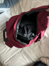 飞莎双肩包男士背包大容量书包大学生高颜值上班出差旅行电脑包初高中 酒红色【带太空人挂件】 实拍图