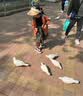 SNOOPY史努比童鞋儿童轻便运动鞋男女童学生秋季百搭休闲鞋3814粉黑紫33 实拍图