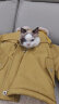 爱它乐猫狗服装春秋夏季卫衣小宠物泰迪猫咪外套撞色黄蓝大 晒单实拍图