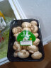 绿食者 新鲜口蘑约500g 食用菌菇 小白菇 口菇 双孢菇 晒单实拍图