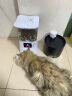 petsuper宠上宠5G可视频自动喂食器猫食盆智能定时宠物猫粮狗粮自动投食机 晒单实拍图