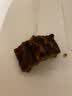 游天牧成四川特产超干耗牛肉干手撕风干牦牛肉干西藏五香麻辣休闲熟食肉干 风干牛肉干麻辣送麻辣 实拍图