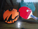 双鱼（DOUBLE FISH） 乒乓球拍对拍娱乐入门单拍 2星兵乓球拍 双面反胶 一星 1D-E_直拍(短柄) 双面反胶 实拍图