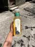 农夫山泉东方树叶500ml 无糖茶饮品 茶饮料 健身出行旅游茶水 红茶500ml*7瓶【日期新鲜】 实拍图