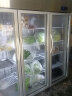 澳柯玛（AUCMA）展示柜冷藏保鲜柜 立式商用冷藏柜玻璃门水果蔬菜鲜花多门厨房冰箱陈列柜饮料柜 主推款丨三门1380升丨VC-1380AJ 实拍图
