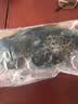 蝶岛船说 东山岛冷冻石斑鱼 深海龙胆石斑鱼 海捕珍珠斑 海鲜水产 【石斑鱼两条】每条500-600g 实拍图