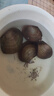 专吃鱼屎粪便黄金小河蚌河蚬淡净水观赏螺鲜活物黑金刚贝壳苗活体 9-12厘米河蚌2个送1个备损 实拍图